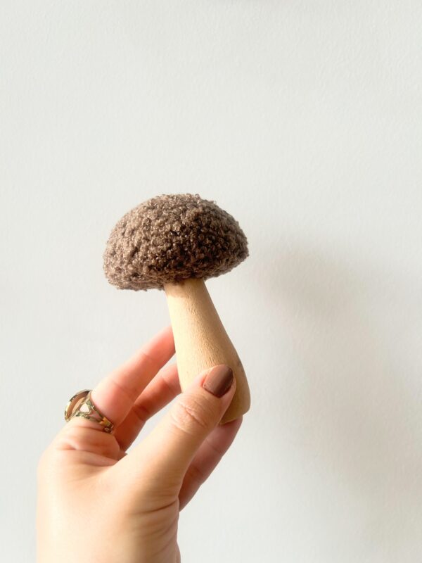 Champignon fluffy