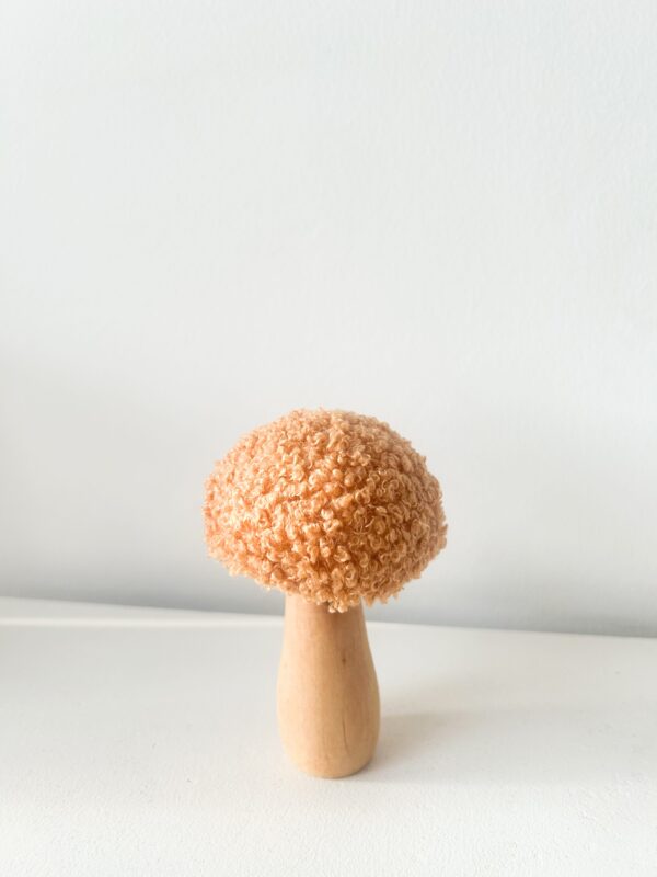 Champignon fluffy Orange