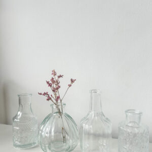 Set de 4 mini vases Transparent